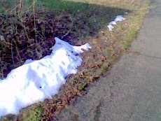 Last of the snow, first of the green