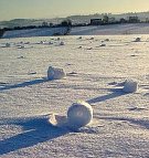 Snowballs in Yeovil