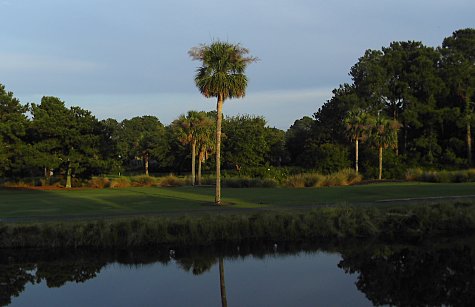 view from the deck